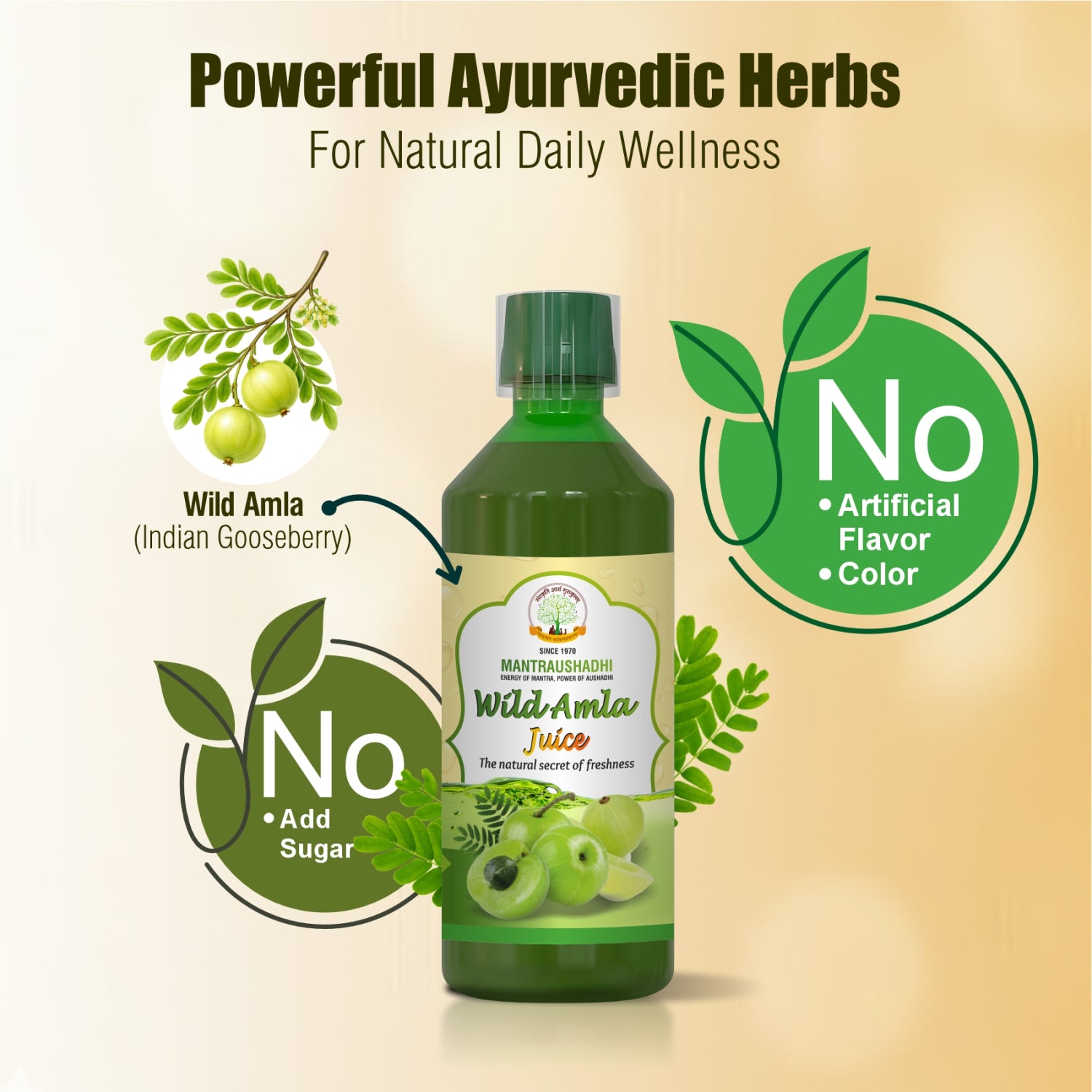 MANTRAUSHADHI AMLA JUICE 750ML