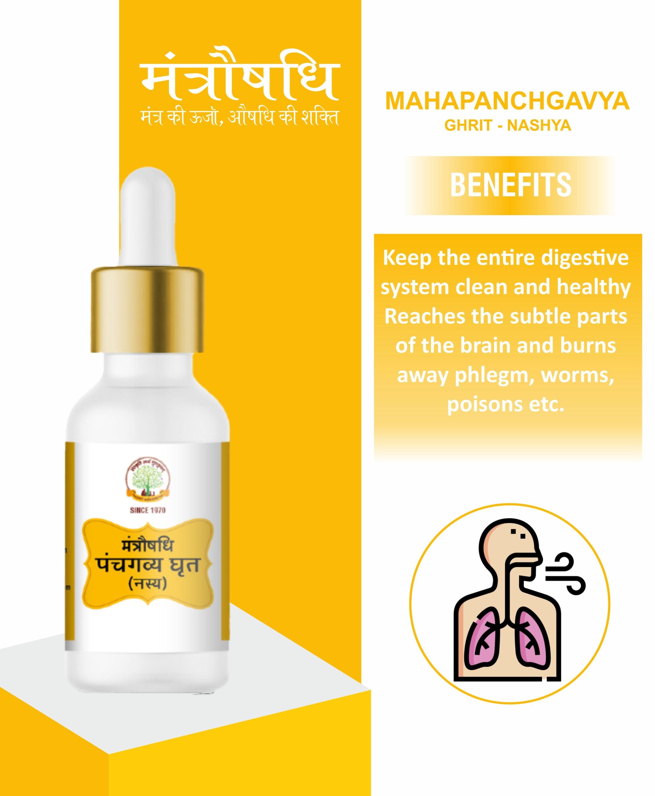 Maha Panchagavya Ghrit (Nasya)