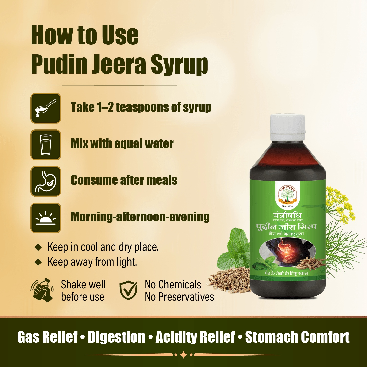 MANTRAUSHADHI PUDIN JEERA SYRUP 200ML