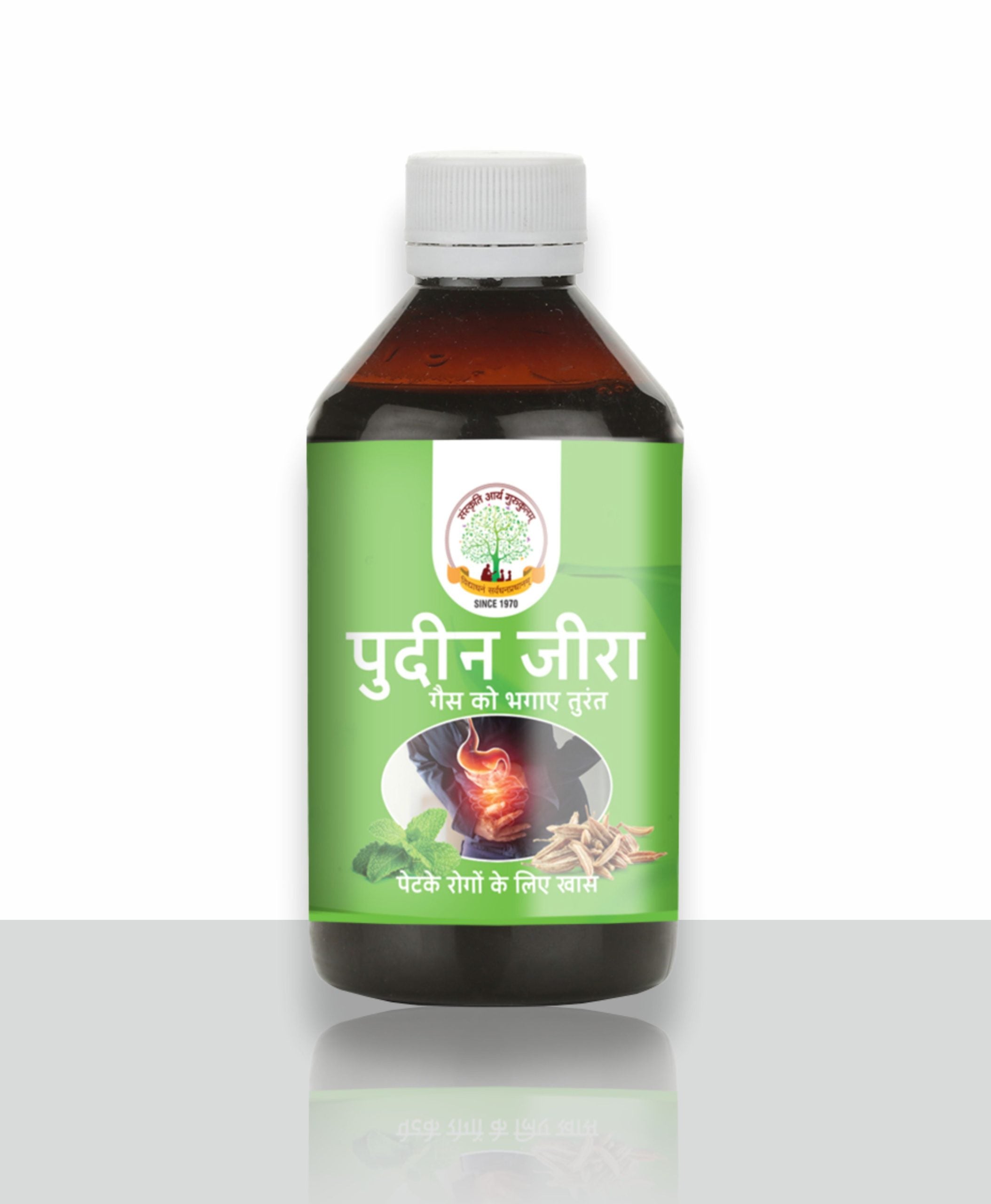 Pudin Jeera Tab