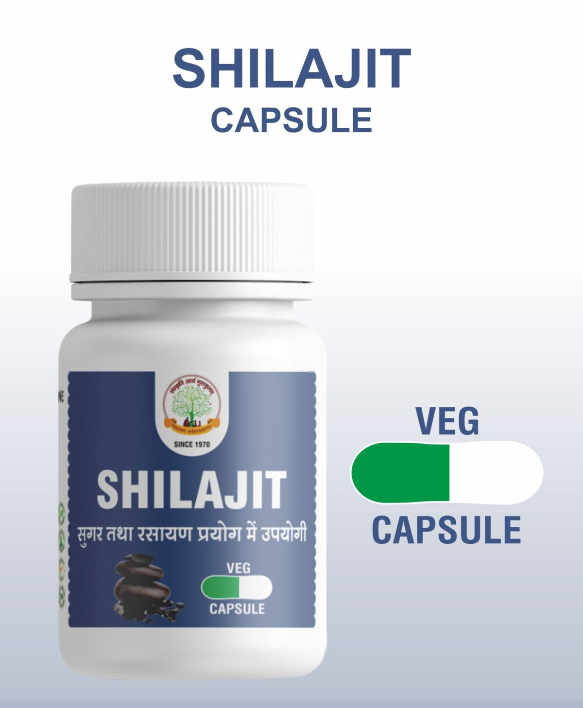 Mantraushadhi Shilajit Capsule 30 Cap
