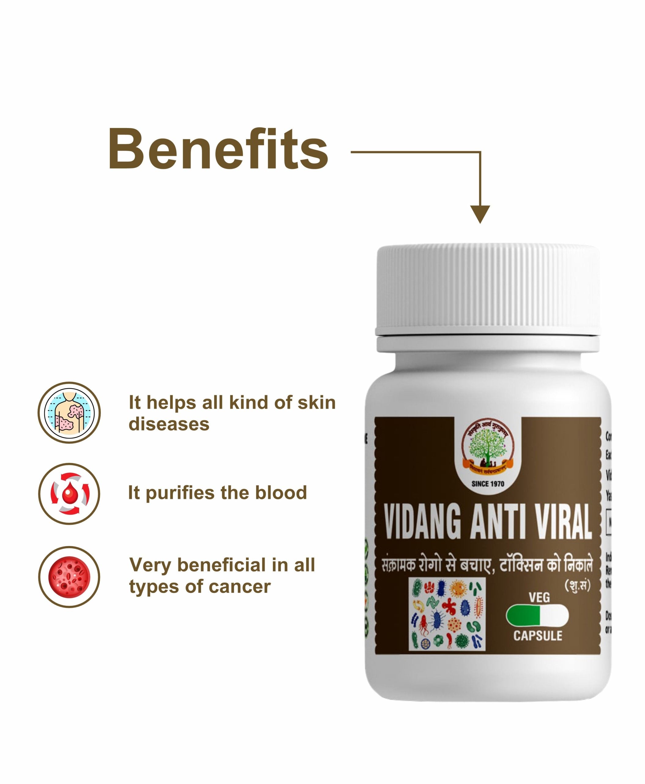 Vidang Tandul Capsules (Anti - Viral)